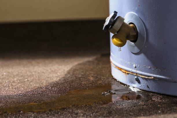 Best Sewage cleanup and water damage restoration  in Freeburg, IL