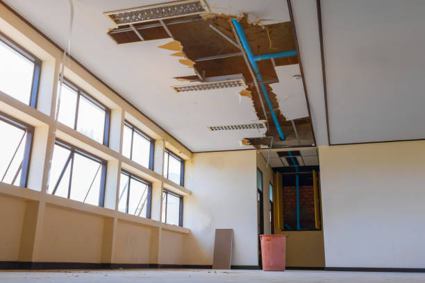 Best Local water damage restoration  in Freeburg, IL