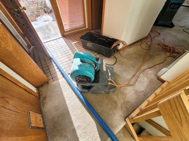 Best Flood restoration services  in Freeburg, IL
