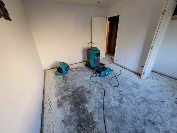 Best 24/7 water damage repair  in Freeburg, IL