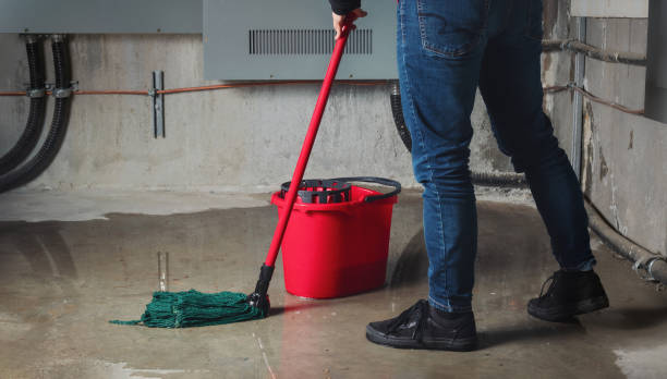 Best Flooded house restoration  in Freeburg, IL