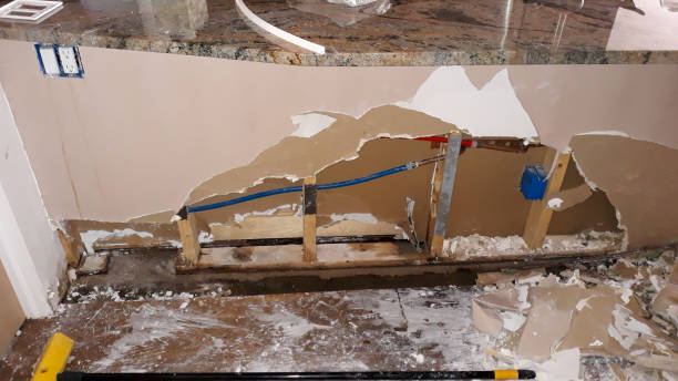 Best Residential water damage restoration  in Freeburg, IL