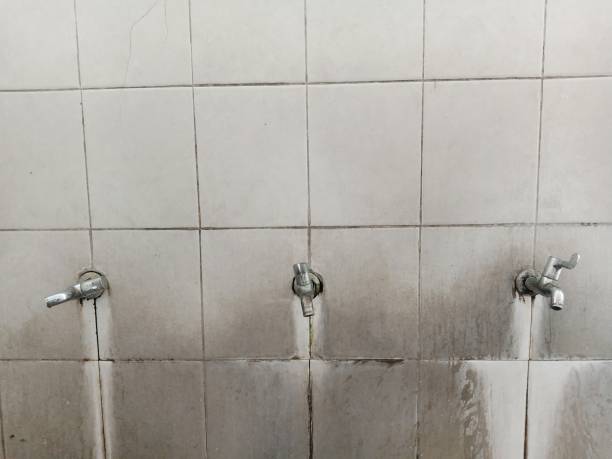 Best Carpet water damage restoration  in Freeburg, IL