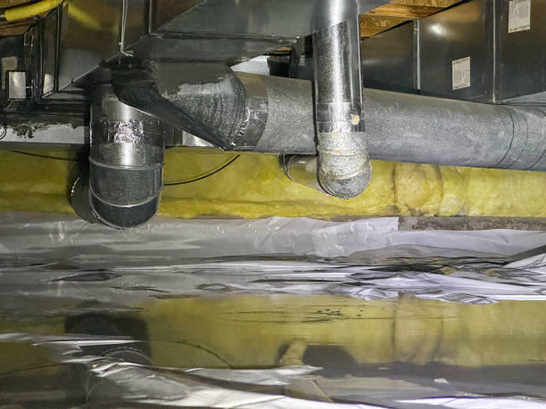 Water damage restoration mold remediation in Freeburg, IL