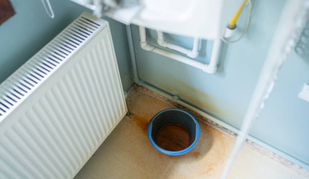 Best Sewage cleanup and water damage restoration  in Freeburg, IL