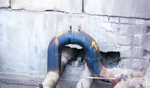 Best Flooded house restoration  in Freeburg, IL