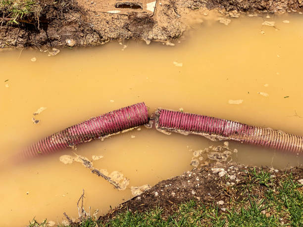 Best Emergency water damage restoration  in Freeburg, IL