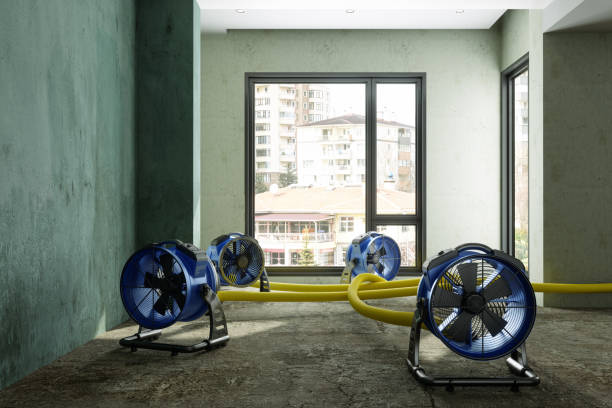 Best Ceiling water damage repair  in Freeburg, IL